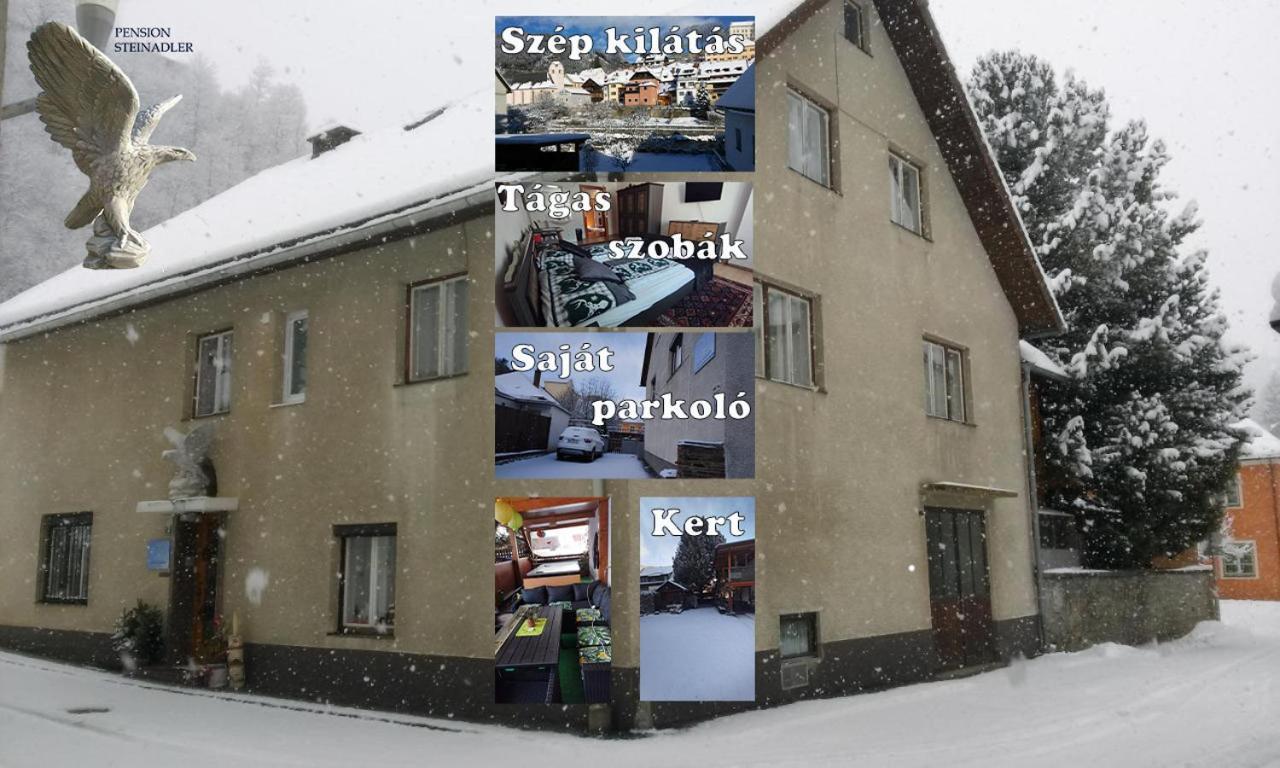 Steinadler Apartman Dog-Friendly, Quiet, Garden House With Private Parking And Beautiful Views Apartment Murau Exterior photo